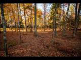 Lot 138 Clearwater Lake Trl - Photo 10