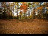 Lot 138 Clearwater Lake Trl - Photo 12