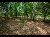 Lot 138 Clearwater Lake Trl - Photo 7