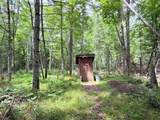 N9847 Woodland Ln - Photo 37