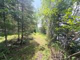 N9847 Woodland Ln - Photo 47