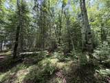 N9847 Woodland Ln - Photo 48