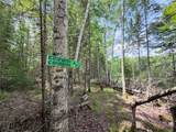 N9847 Woodland Ln - Photo 49