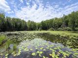 N9847 Woodland Ln - Photo 52