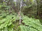 9317 Hwy 139 - Photo 4