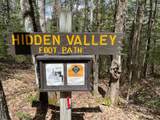 Lot #2 Moonshine Valley Rd - Photo 10