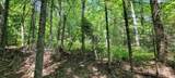 Lot #2 Moonshine Valley Rd - Photo 15