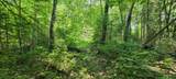 Lot #2 Moonshine Valley Rd - Photo 16