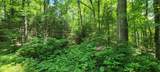 Lot #2 Moonshine Valley Rd - Photo 17