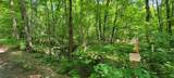 Lot #2 Moonshine Valley Rd - Photo 18