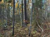ON Moss Lake Dr - Photo 16