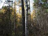 ON Moss Lake Dr - Photo 18