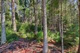 8331 Awassa Ln - Photo 16