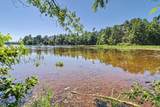 8331 Awassa Ln - Photo 3