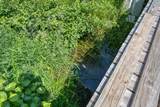 6881E Forest Rd - Photo 25