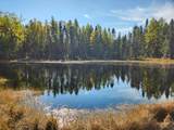 6881E Forest Rd - Photo 29