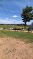 N435 Blue Haven Ln - Photo 51