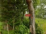 E6857 Black River Rd - Photo 2