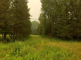 E6857 Black River Rd - Photo 26
