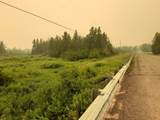 E6857 Black River Rd - Photo 27