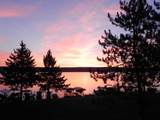 4646 Sportsman Ln - Photo 2
