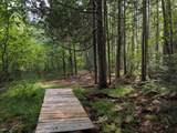 5548 Bertland Rd - Photo 41