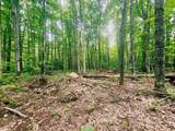 TBD Lakeshore Dr - Photo 6