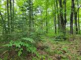 80 Acres Lantta Rd - Photo 10