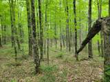 80 Acres Lantta Rd - Photo 11