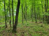 80 Acres Lantta Rd - Photo 12