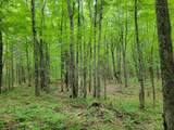 80 Acres Lantta Rd - Photo 13