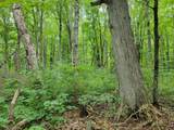 80 Acres Lantta Rd - Photo 14