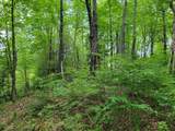 80 Acres Lantta Rd - Photo 16