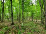 80 Acres Lantta Rd - Photo 9