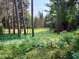 431 Sundstein Rd - Photo 31