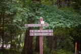 10041 Woodgate Pl - Photo 35