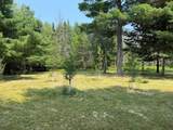12287 Elbow Lake Rd - Photo 44