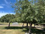 1001 Cinnabar St - Photo 79