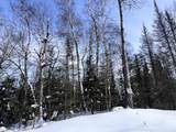 Lot 17 Butternut Cir - Photo 11
