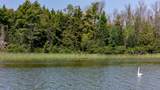 15452 Bald Eagle Blvd - Photo 42
