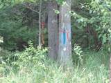 ON Hwy 102 - Photo 11
