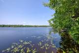 2401 Ross Allen Lake Ln - Photo 15