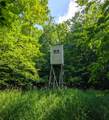 N4023 Mink Dr - Photo 17