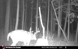 N4023 Mink Dr - Photo 20