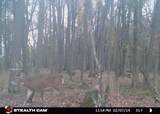 N4023 Mink Dr - Photo 21