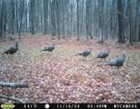 N4023 Mink Dr - Photo 22