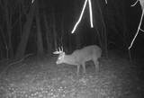 N4023 Mink Dr - Photo 23