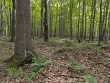 N4023 Mink Dr - Photo 27