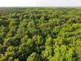 N4023 Mink Dr - Photo 40