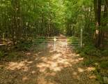 N4023 Mink Dr - Photo 42